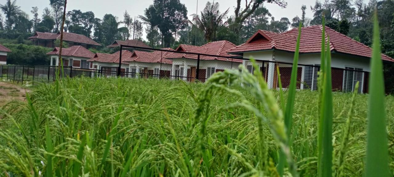 Camp Nishani Bhāgamandala 外观 照片
